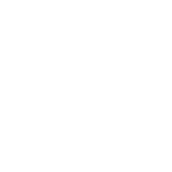 Extensive Industry Experience