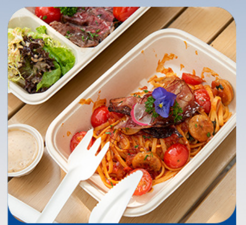 Eco-Friendly Bagasse Plates for Your Perfect Picnic