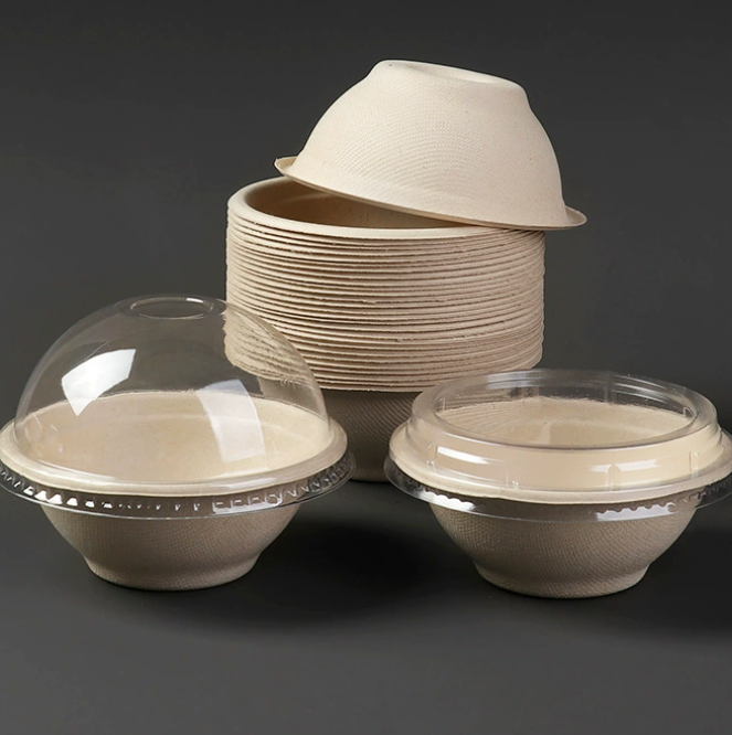  Sustainable Bagasse Tableware for Eco-Friendly Dining