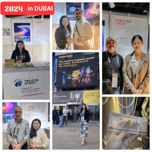 Januar 2024 Dubai Internationale Beleuchtungsausstellung