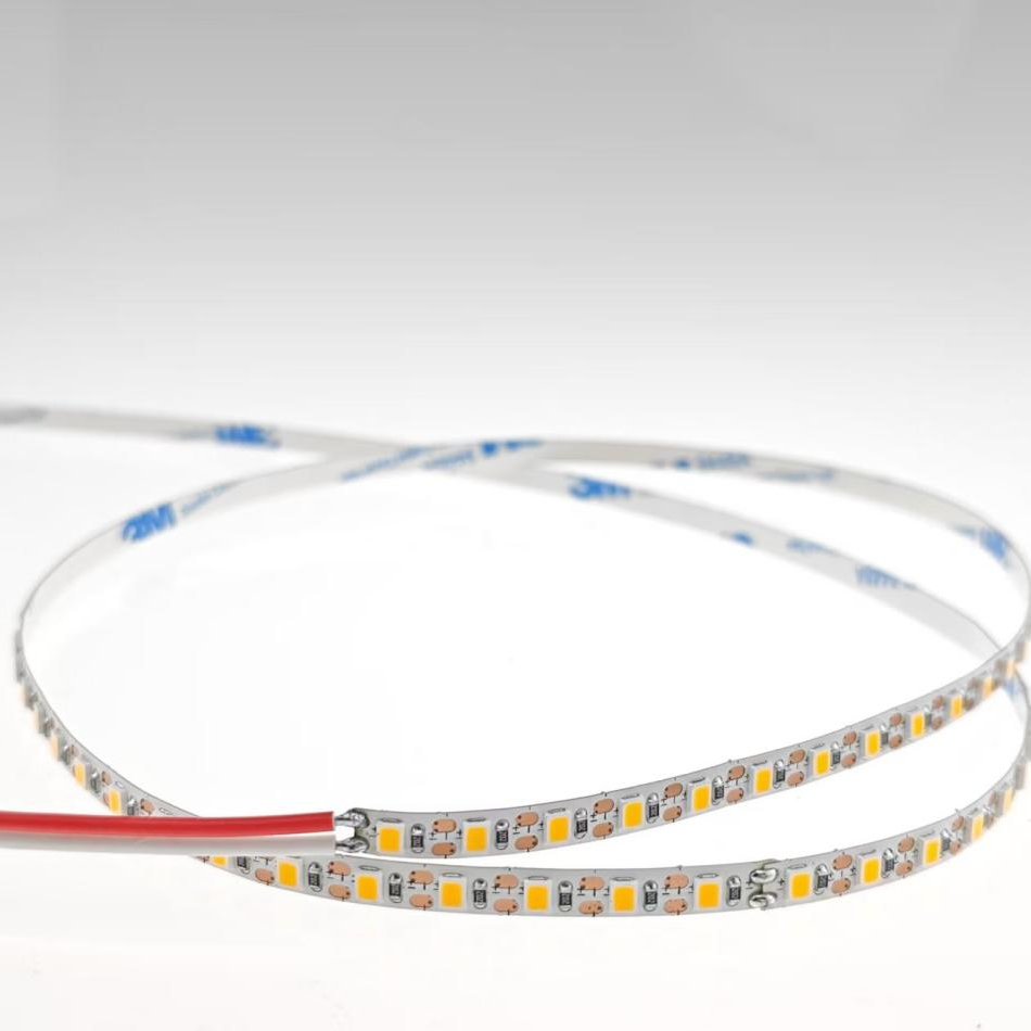 DC24V-2835-120D-5MM-IP20-ein Licht ein Schnitt
