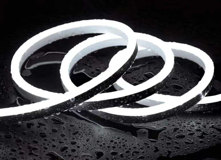 إدارة الطاقة المستدامة