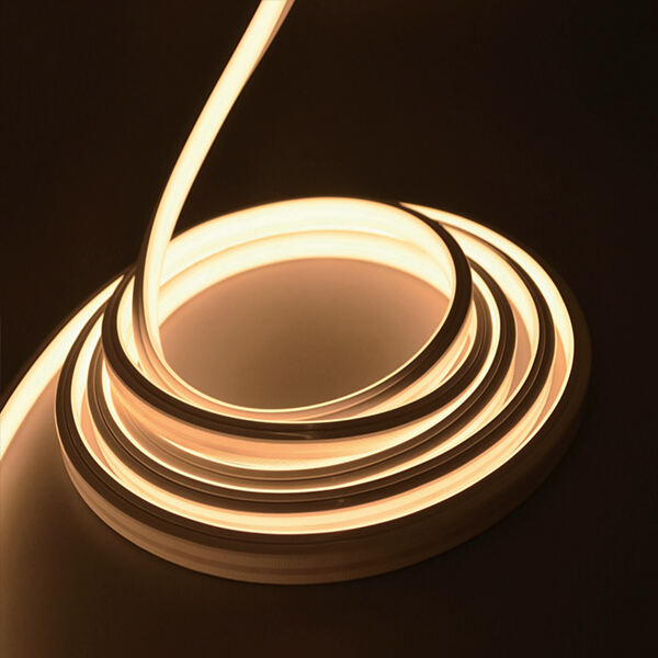 Omfattende støtteydelser