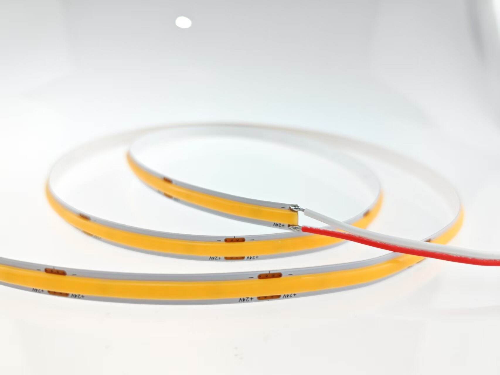 Aseguramiento de Calidad y Longevidad