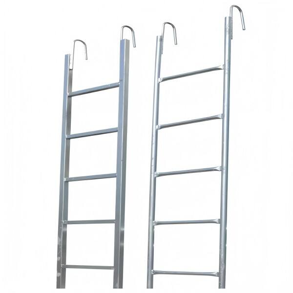 Moneky Ladder