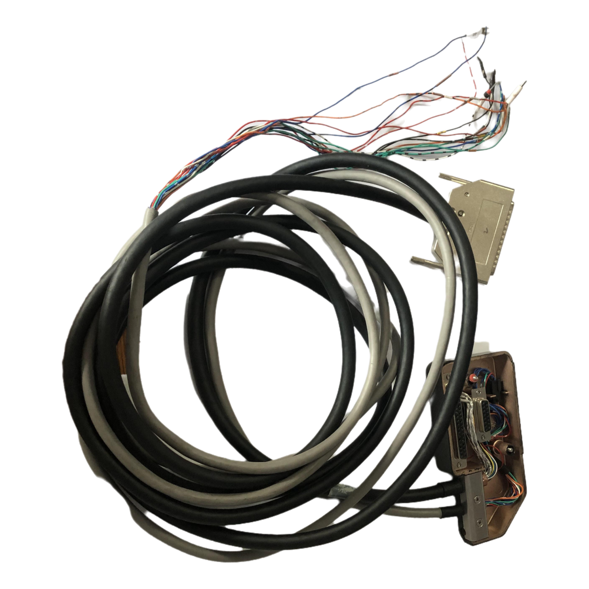 IMG_3932_color_Transparent_PicCopilot_a95c3.png