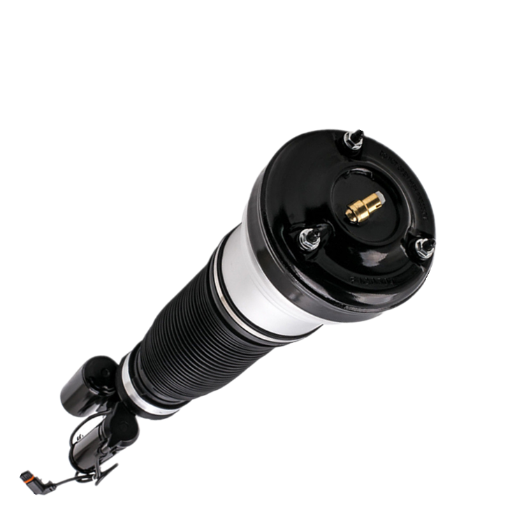 Dynamic Ride Height Control for Versatility and Efficiency