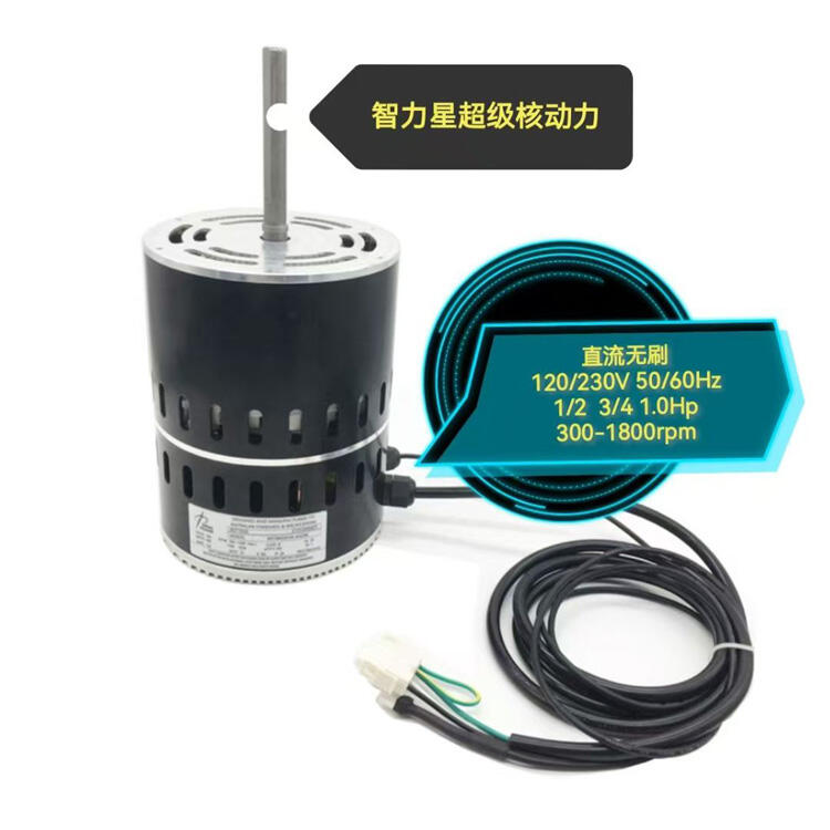 Dual Voltage Fan Blower Motor BLDC Motor EC Motor