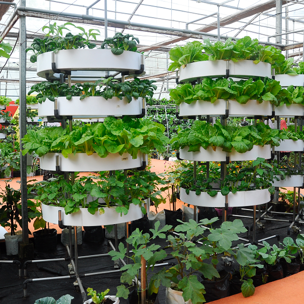 Vertical Garden System