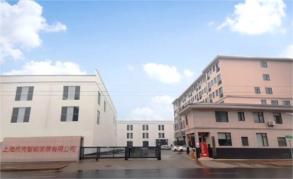 Shanghai PK Smart Home Co.,Ltd