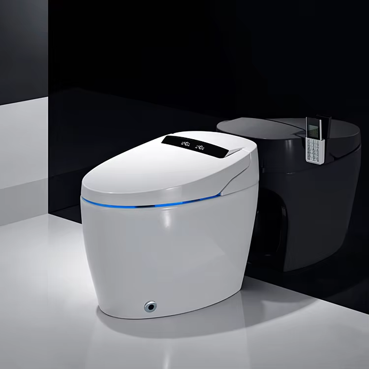 Maintaining Hygiene with Amaze Smart Toilets