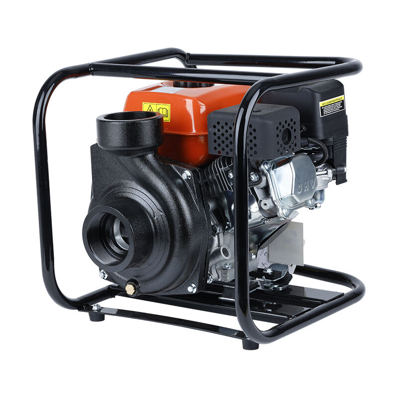 196cc 6,5HK 3” gjutjärnsvattenpump LGP30i-A