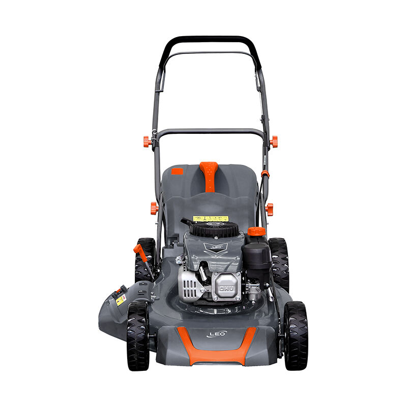 171cc 19” 3 i 1 handdrevn gräsklippare LM48-2L(NP170)