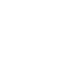 Professional Talent Team