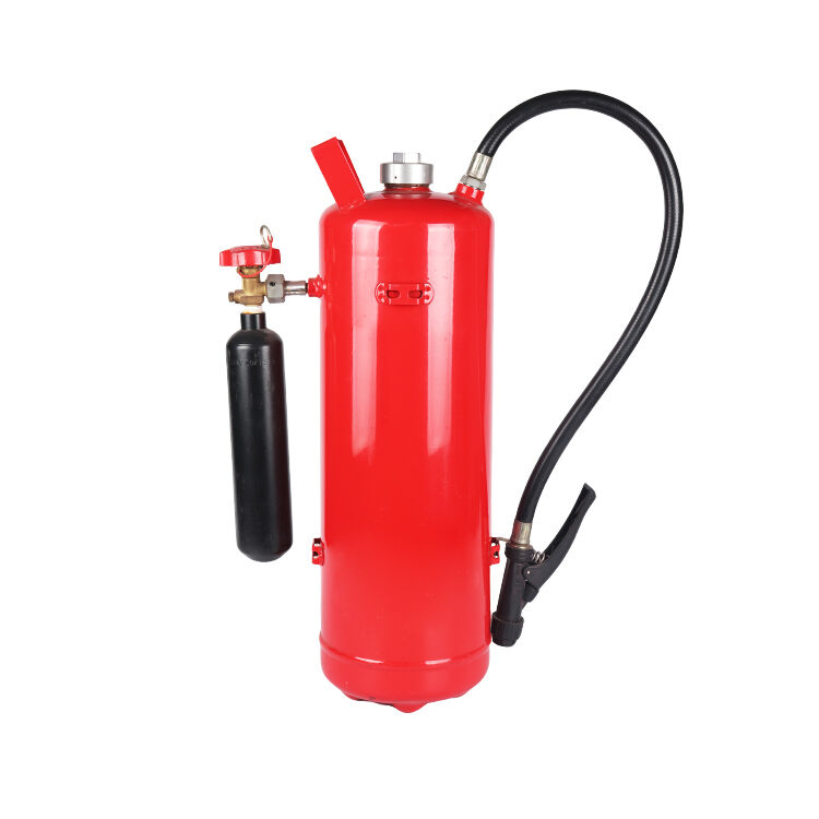 Dry Powder Fire Extinguisher: A Complete Guide to Uses and Limitations