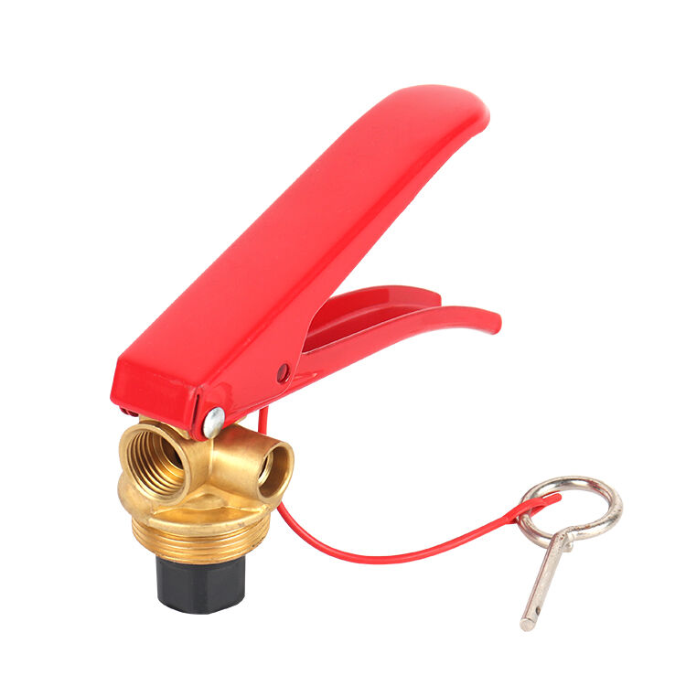 Recharging and Refilling a Dry Powder Extinguisher: What to Know