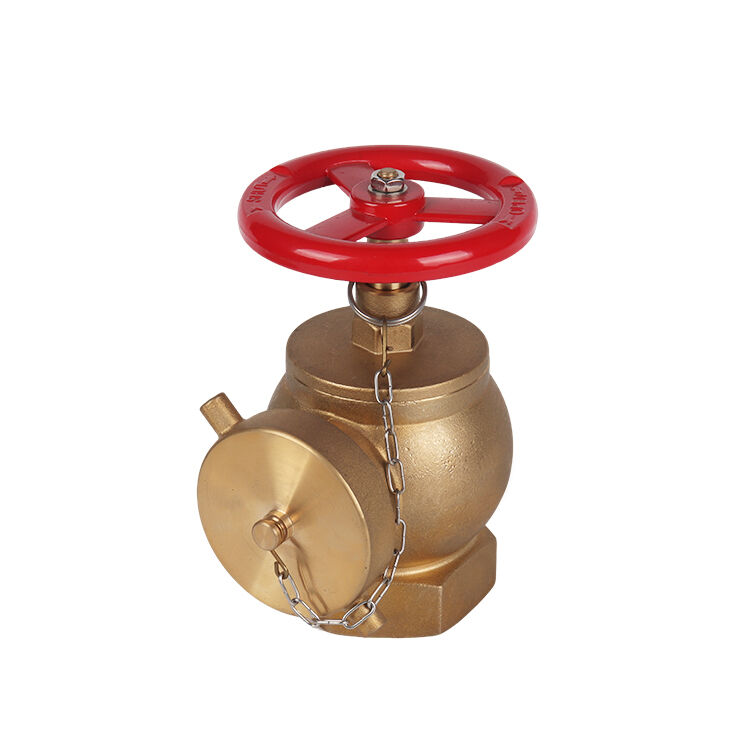 簡易化された設置および保守プロトコル