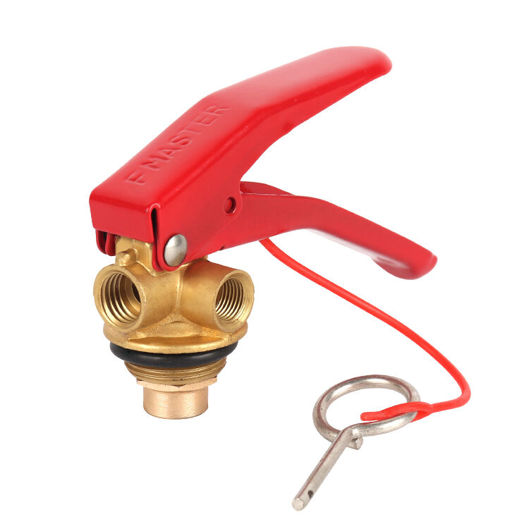 費用対効果の高い長期保護投資