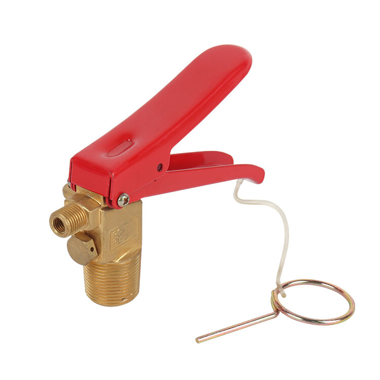 Leak-Proof CO2 Cylinder Valve for Fire Extinguishers Precision-Engineered for Fire Safety Equipment