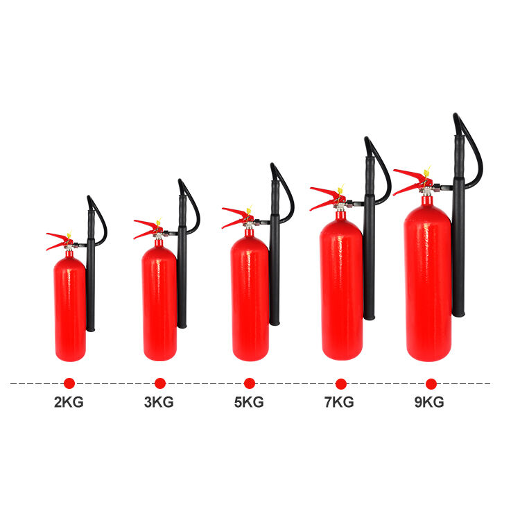 Customized Solutions and Regulatory Compliance Expertise