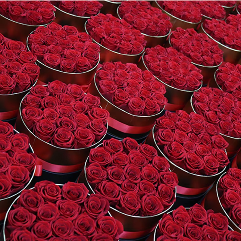 Dried Flowers: Endless Possibilities for DIY Crafts