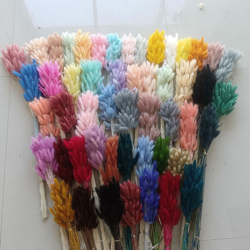 tuweicao(7abfae5b6f).jpg