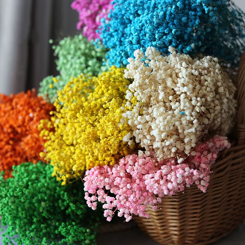 How to Source High-Quality Wholesale Dried Flowers for Your Business