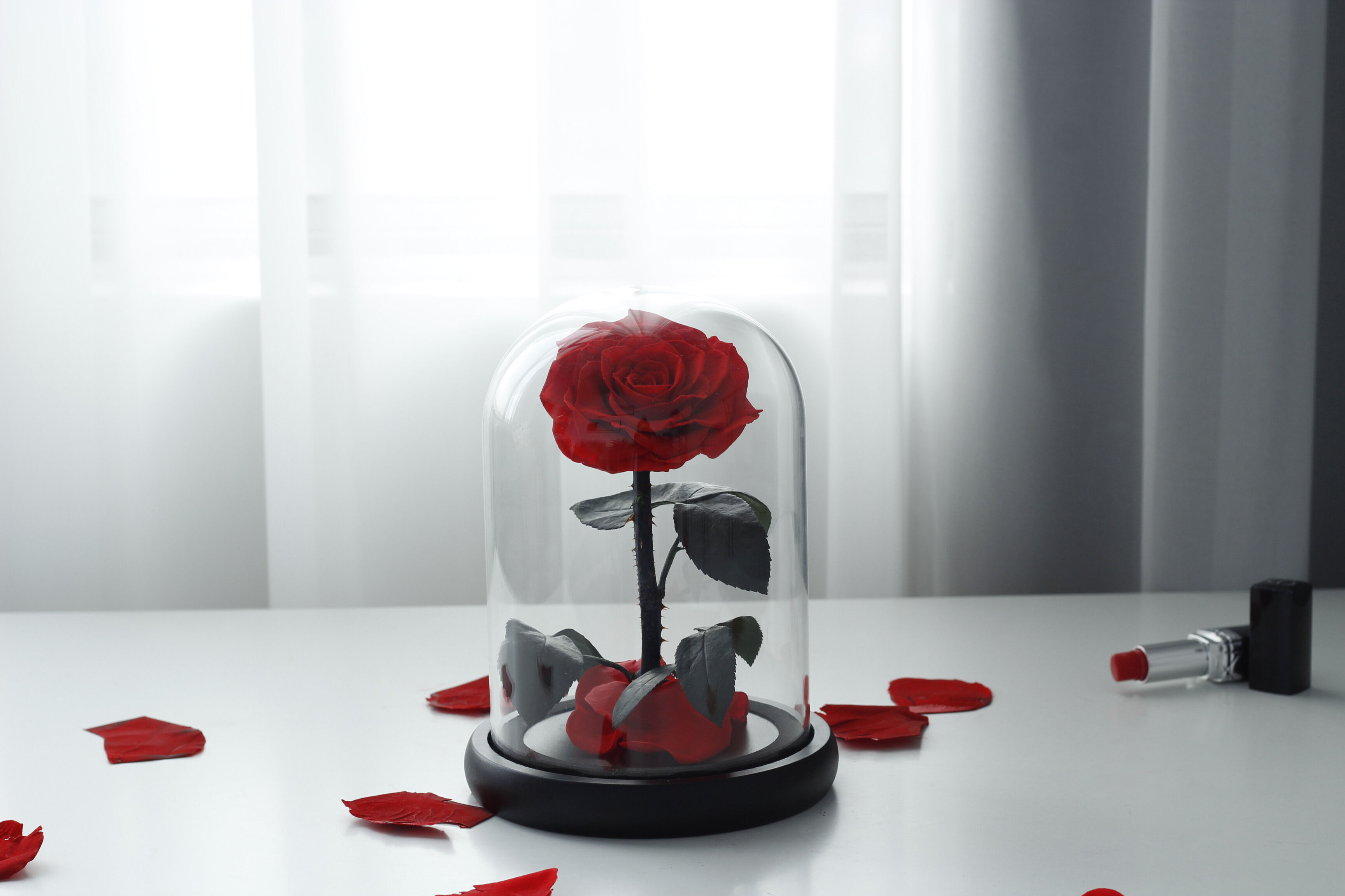 Preserved Rose In Glass Dome