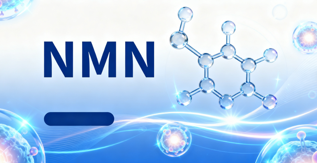 Global Anti-Aging Sensation! Why NMN Capsules Have Become a New Favorite in the Health World?