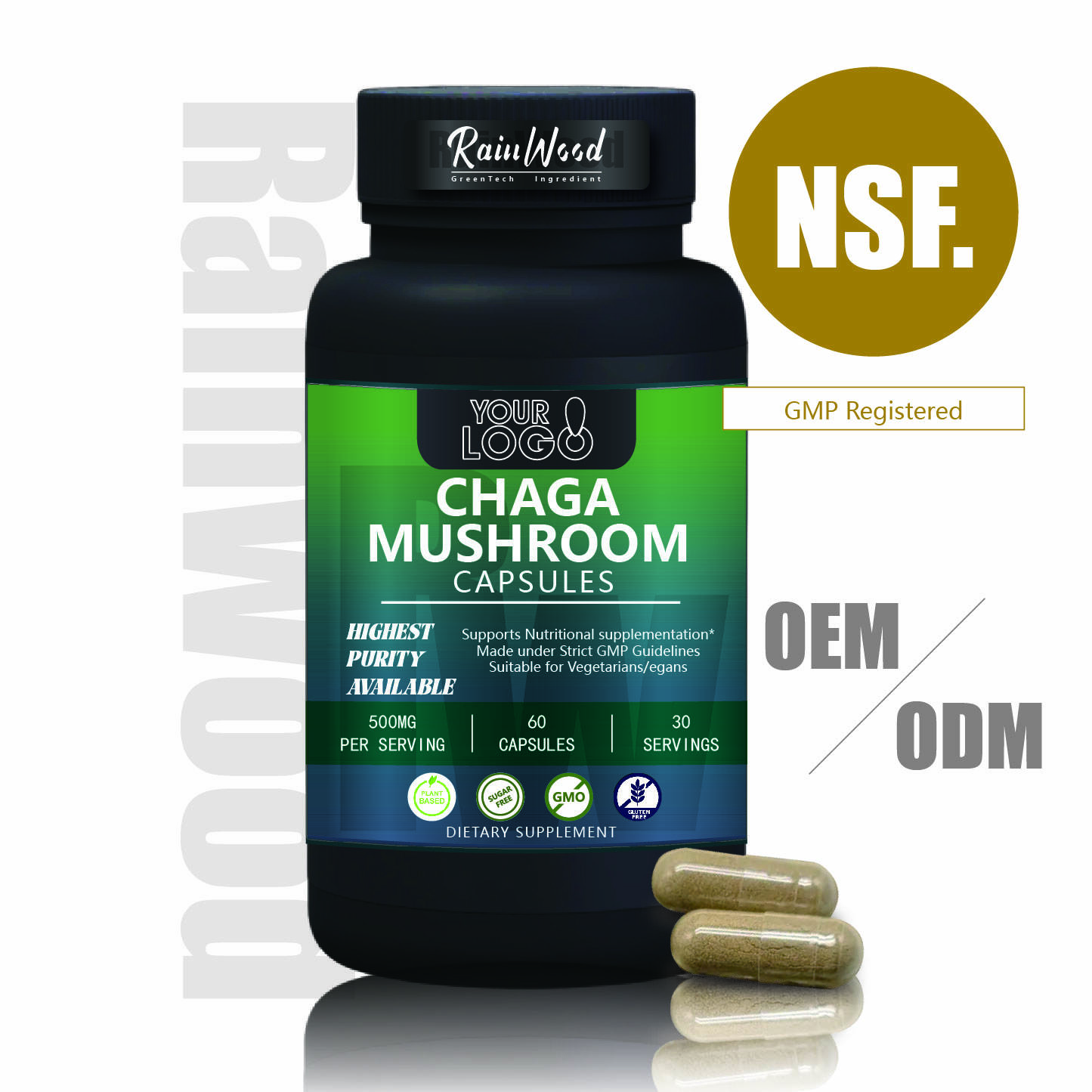 OEM ODM Kapsul jamur Chaga 500mg Kualitas Tinggi Kapsul jamur Chaga