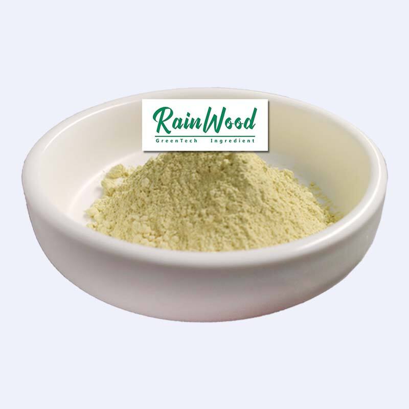 Polvere su Misura di Vitamina B6