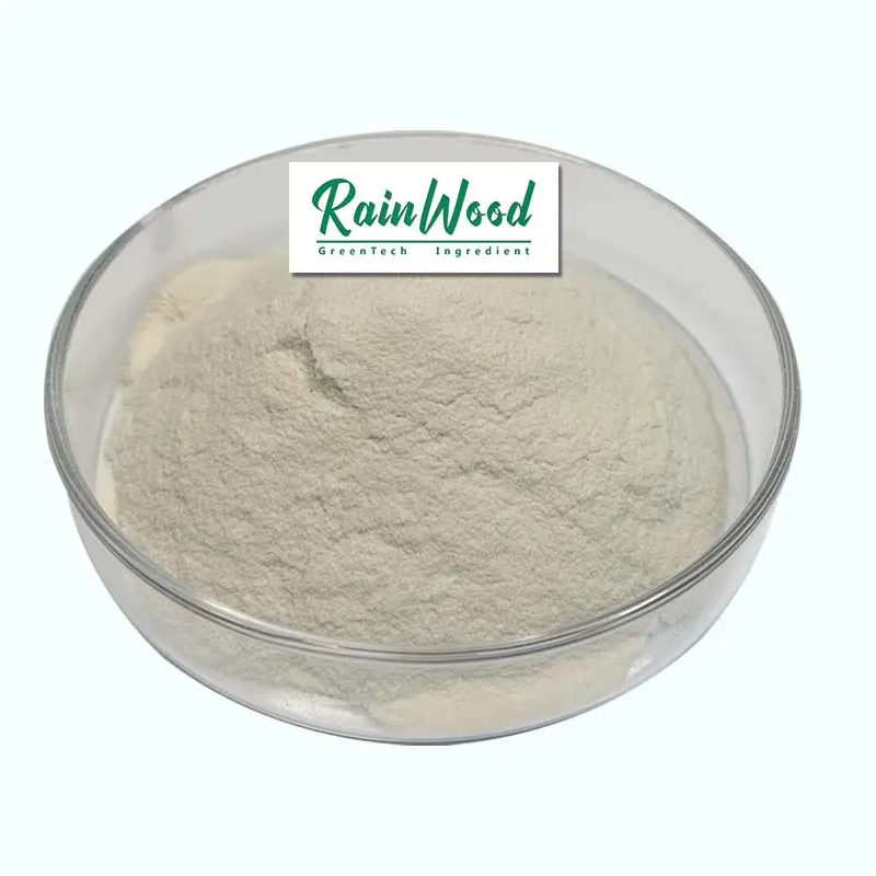 Pasokan Epicatechin EGCG Powder Alami Epicatechin EGCG Powder