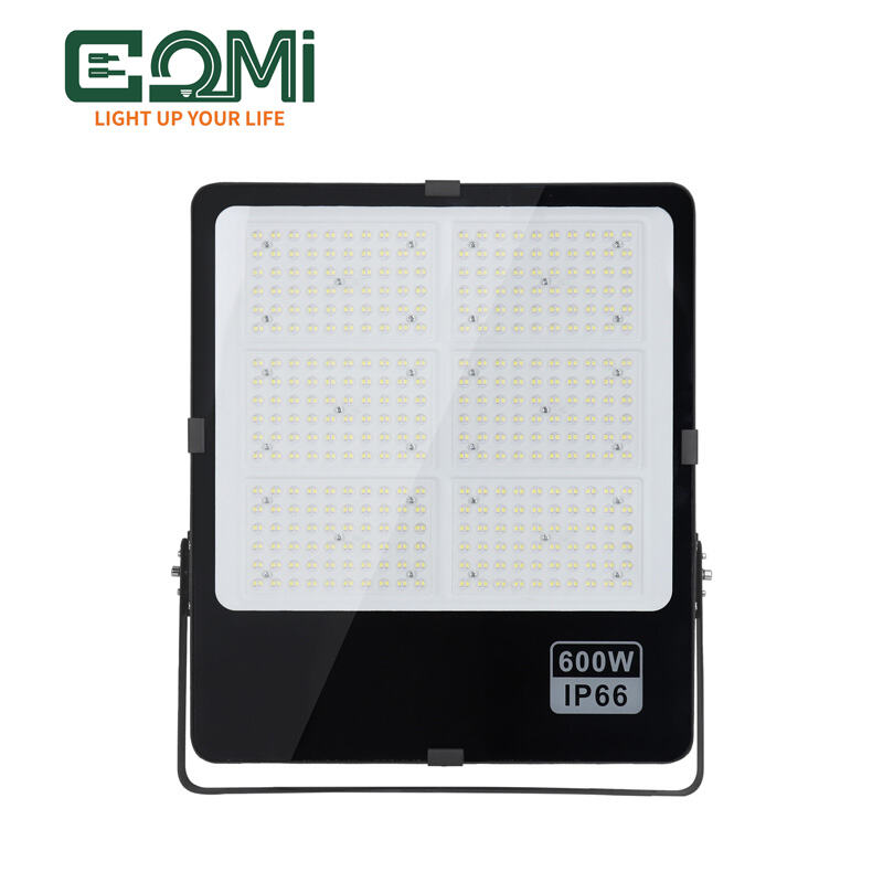 Outdoor Engineering-Grade IP66 Led Flood light