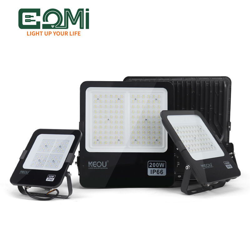 Outdoor Engineering-Grade IP66 Led Flood light