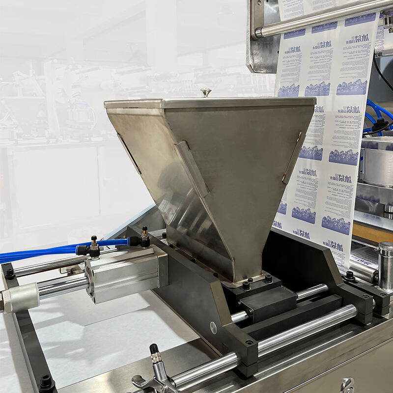 Neue Generation automatischer Eisverpackungsmaschinen | 50 % schneller, Null-Tau-Garantie