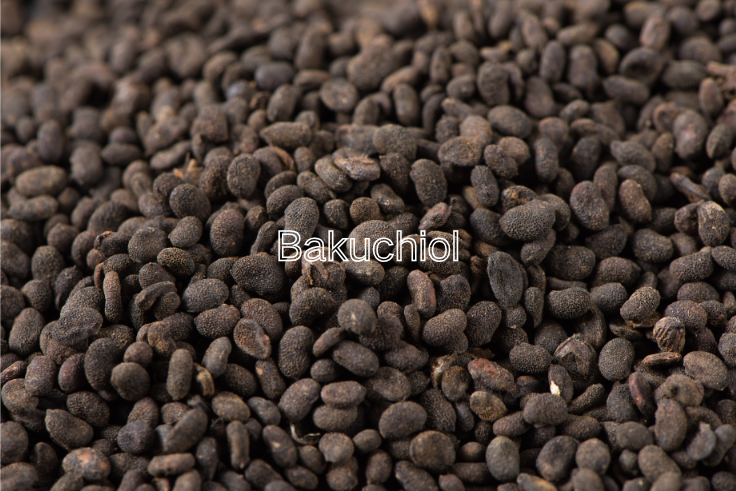 Suporte Técnico Abrangente e Expertise em Formulação