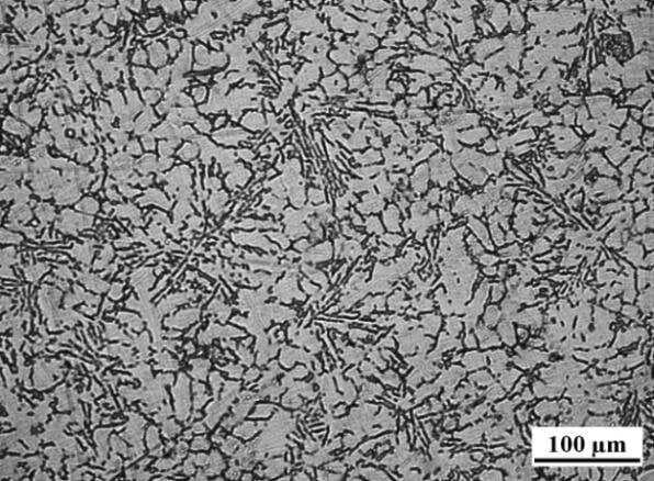 Metallurgical analysis showing refined grain structure in A380 aluminum alloy