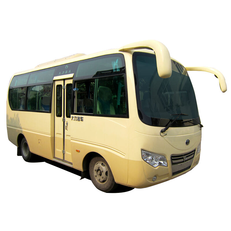 Buses and Cars