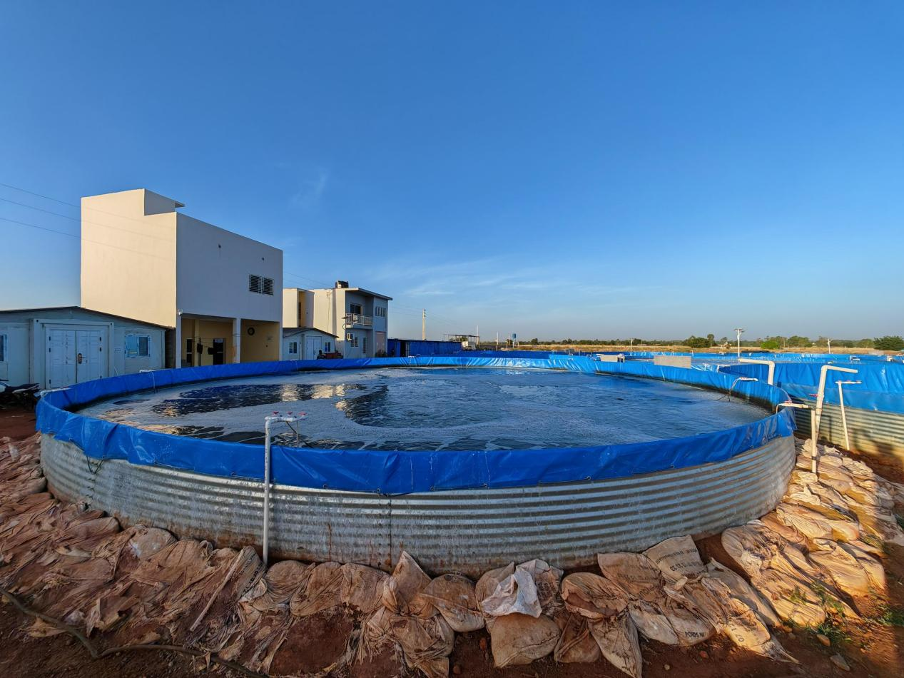 Flow - through Aquaculture: A New Chapter in the Aquatic Farming Landscape