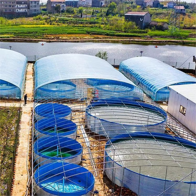 なぜ流動水式養殖システムを選択すべきでしょうか？