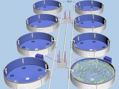 Nuôi trồng thủy sản tuần hoàn thế hệ mới: Thiết lập nhanh chóng, giám sát toàn diện, lợi nhuận cao hơn