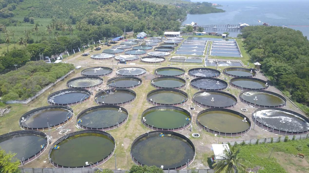 High-density fish farming technology, fish pond cost, canvas fish pond, canvas pond, high-density fish farming