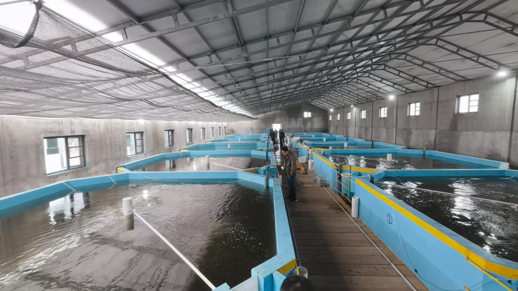 RSA 암호화 기술의 역사와 발전