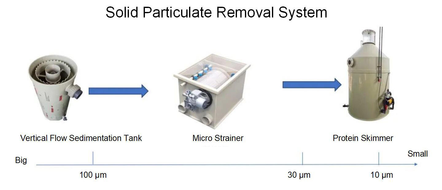 Land-based Industrialized Recirculating Aquaculture System (RAS ...
