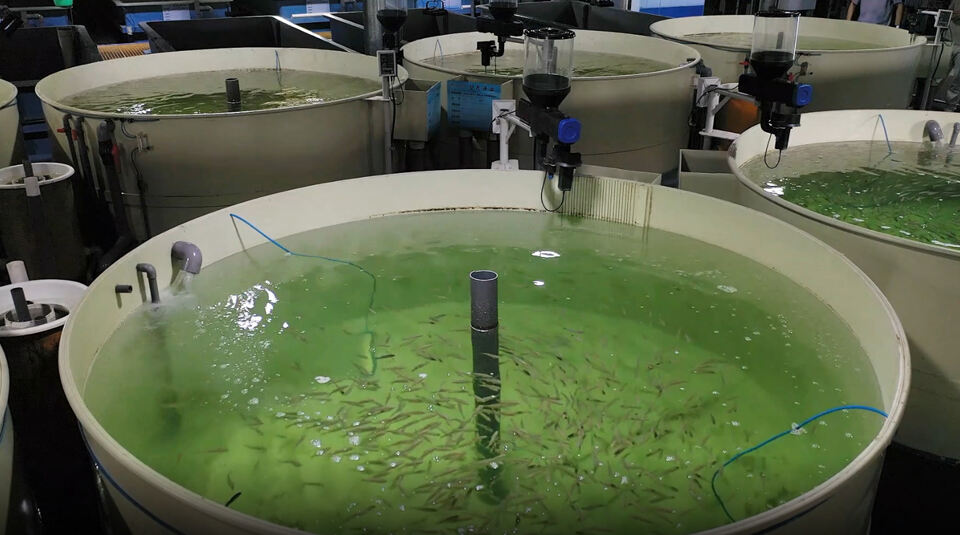 Présentation sur site du système d'aquaculture