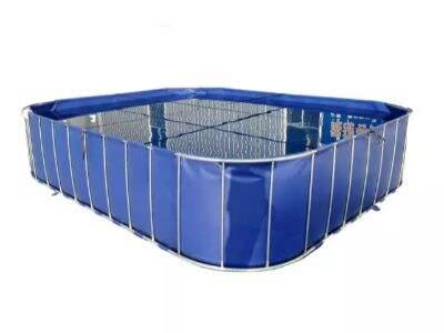 Các loại nuôi trồng thủy sản này, nếu nắm bắt được cơ hội, có thể giúp bạn làm giàu chỉ trong một đêm