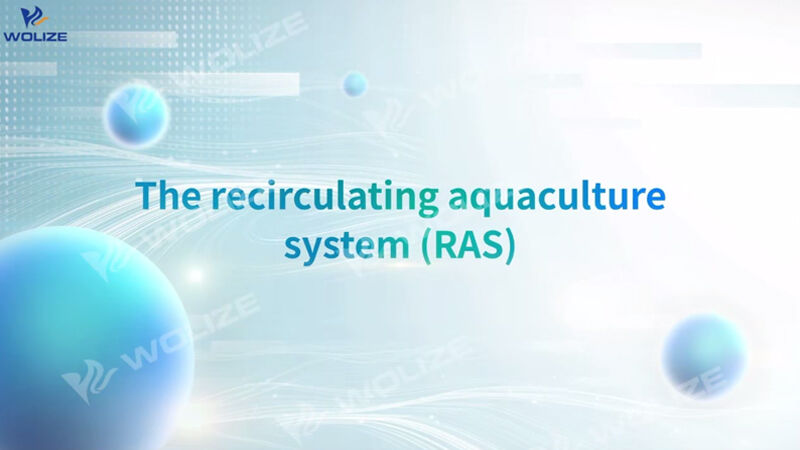 Рециркуляциялық аквакультура жүйесіне (RAS) қош келдіңіз