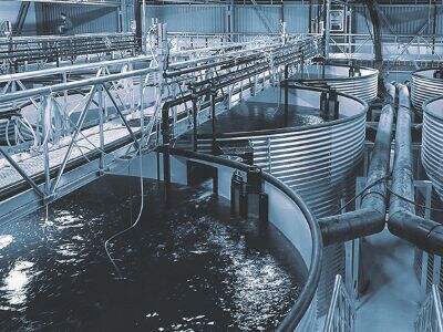 Những Đổi Mới Thân Thiện Với Ví Trong Ngành Thủy Sản