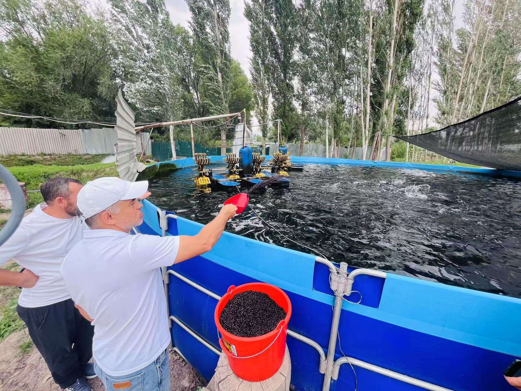 Video taken on-site by the client in Kyrgyzstan