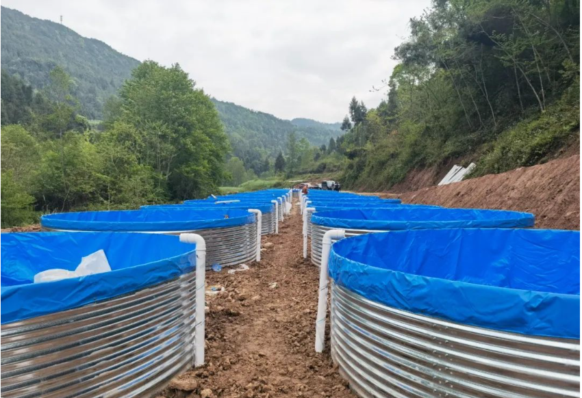 Estanque de peces de lona galvanizada: una opción innovadora para la acuicultura moderna